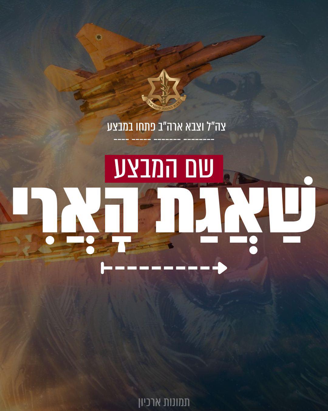 מבצע שאגת הארי יצא לדרך